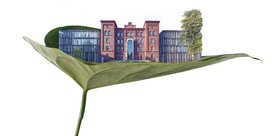 Die UIF möchte mithilfe der HOOU nachhaltige Projekte an der TU Hamburg stärken.