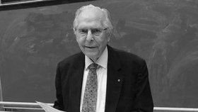 Professor Dr. h.c. mult. Hansj&ouml;rg Sinn&nbsp;